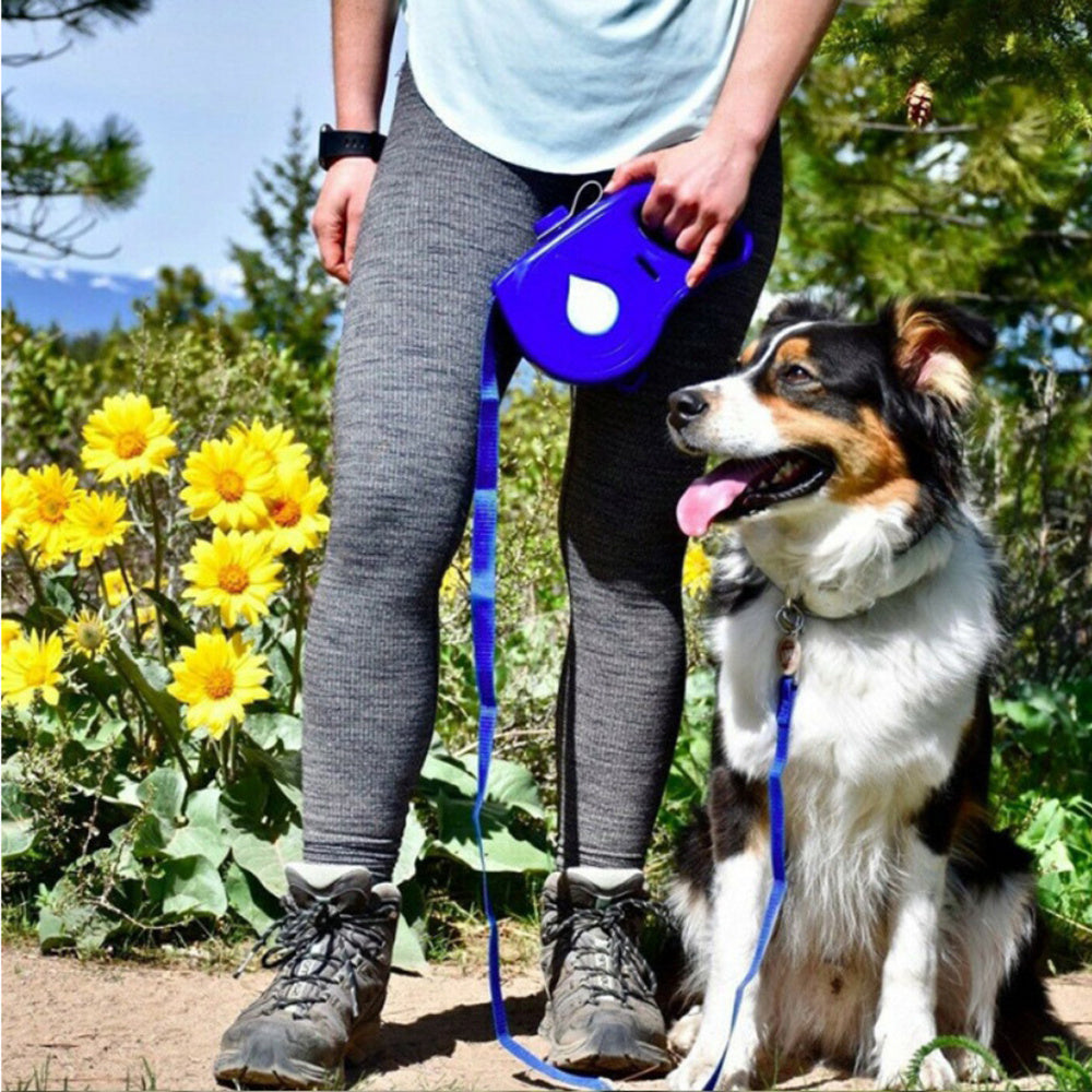 Multifunctional Pet Automatic Retractable Leash