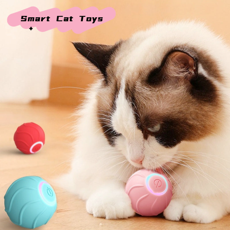 Smart Cat Toys Rolling Ball USB