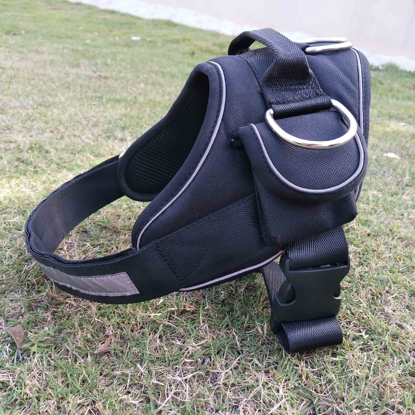 pet chest harness