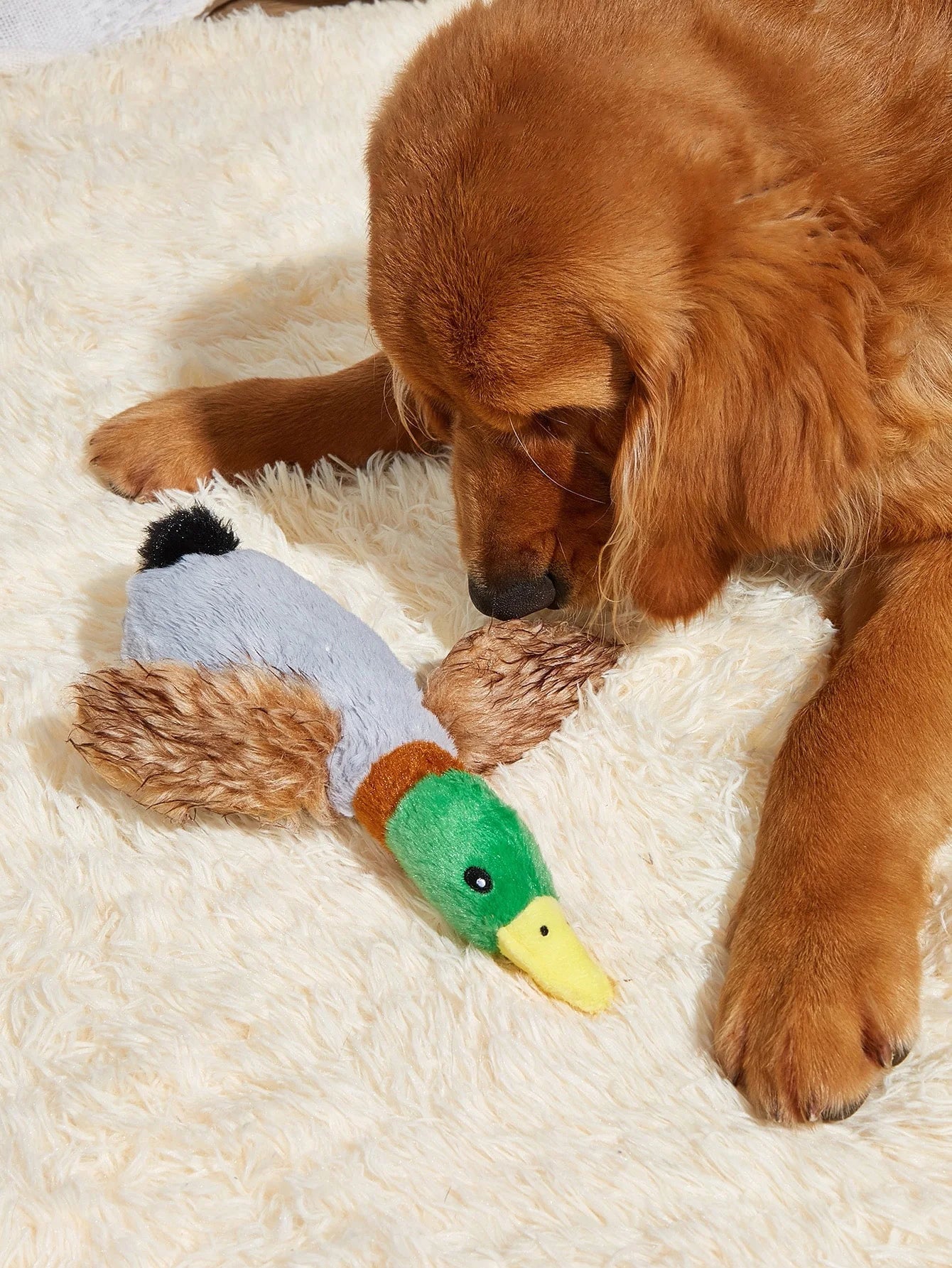 Wild Duck Style Pet Dog Toy Plush
