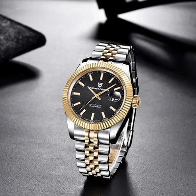 PAGANI DESIGN Man Mechanical Watch