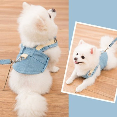 Cute Pet Dog Harness Leash Set - Buy Buy Baby