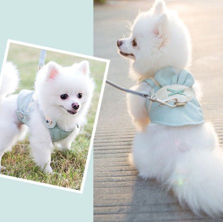 Cute Pet Dog Harness Leash Set - Buy Buy Baby